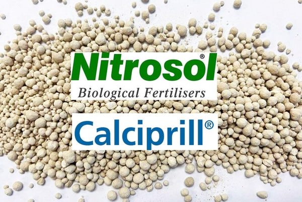 Nitrosol Calciprill®